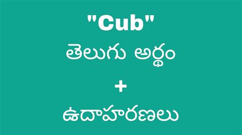 cub meaning in telugu